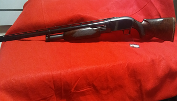 longgun10