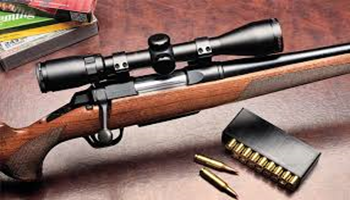 longgun4