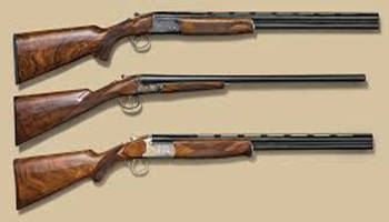longgun6