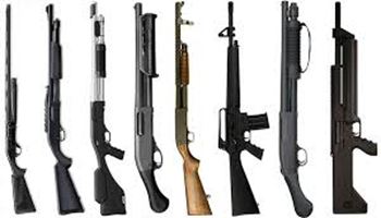 longgun7