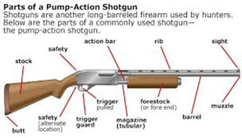 longgun8